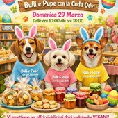 Mongrando, festa di primavera al Charity Shop di Bulli e Pupe con la Coda Mongrando, festa di primavera al Charity Shop di Bulli e Pupe con la Coda