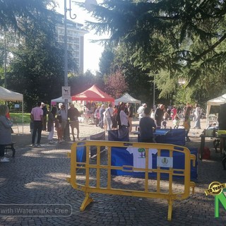 biella zumaglini biella zumaglini