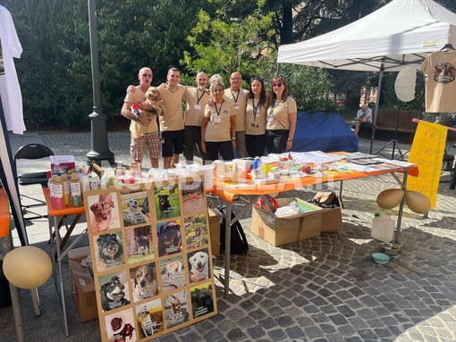 Mercatino Solidale a Biella, iniziative e attività per gli amici a quattro zampe - Servizio di Massimo Giacobbe Mercatino Solidale a Biella, iniziative e attività per gli amici a quattro zampe - Servizio di Massimo Giacobbe