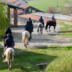 Natura, cavallo e uomo: a Salussola protagonisti gli studenti del Bona Natura, cavallo e uomo: a Salussola protagonisti gli studenti del Bona