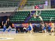 basket biella
