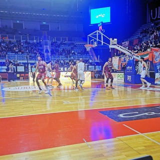 basket biella