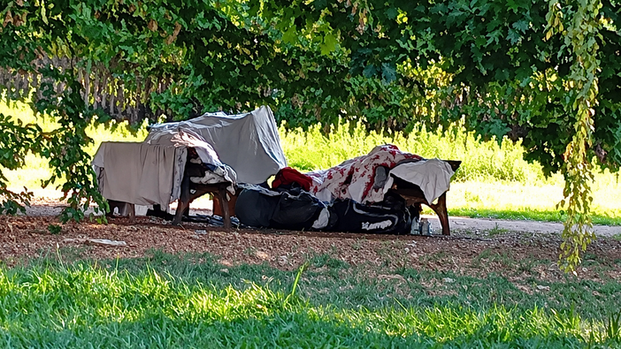 Biella, ripari improvvisati nel parco di via Carso Biella, ripari improvvisati nel parco di via Carso