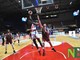 basket basket