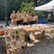 Mercatino Solidale a Biella, iniziative e attività per gli amici a quattro zampe - Servizio di Massimo Giacobbe