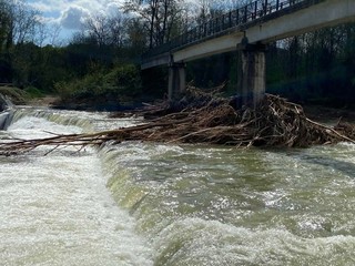 Borriana, il Comune interviene per la messa in sicurezza del torrente Elvo Borriana, il Comune interviene per la messa in sicurezza del torrente Elvo