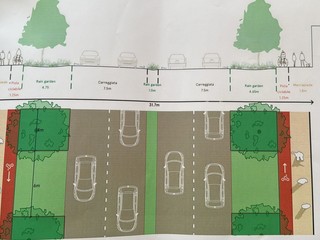 Forestazione urbana: Biella tra i progetti finanziati dalla Regione, ridisegna il suo ingresso tra viali alberati e piste ciclabili Forestazione urbana: Biella tra i progetti finanziati dalla Regione, ridisegna il suo ingresso tra viali alberati e piste ciclabili