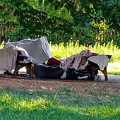 Biella, ripari improvvisati nel parco di via Carso Biella, ripari improvvisati nel parco di via Carso