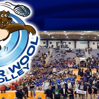 Pallavolo giovanile - 94 squadre per il Bear Wool Volley: 7 sono straniere Pallavolo giovanile - 94 squadre per il Bear Wool Volley: 7 sono straniere
