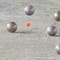 bocce gare