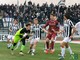 calcio volpiano calcio volpiano