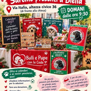Bulli e Pupe con la Coda ODV domani in via Italia a Biella con calendari, regali solidali e tante informazioni per aiutare gli animali