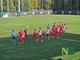 calcio biellese calcio biellese