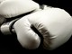 viverone boxe viverone boxe
