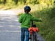 Regione. Codice della strada, Rosso (Fi): Sì all'emendamento per l'obbligo di casco in bici fino ai 12 anni&quot;