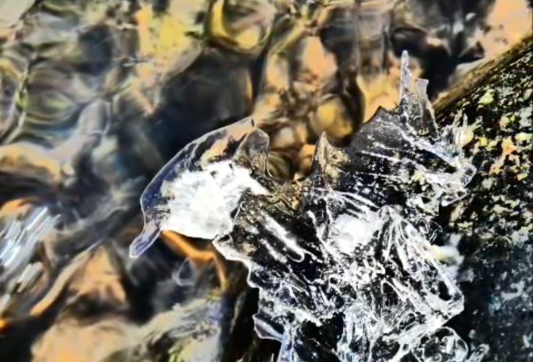 Magie d'Inverno sul Rio Stono, il VIDEO di Paolo Rosazza Pela