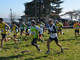 32° Cross di Cossato: Le classifiche complete 32° Cross di Cossato: Le classifiche complete