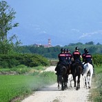 Maxi-servizio straordinario contro lo spaccio nei boschi biellesi, in azione anche i Carabinieri a cavallo FOTO e VIDEO Maxi-servizio straordinario contro lo spaccio nei boschi biellesi, in azione anche i Carabinieri a cavallo FOTO e VIDEO