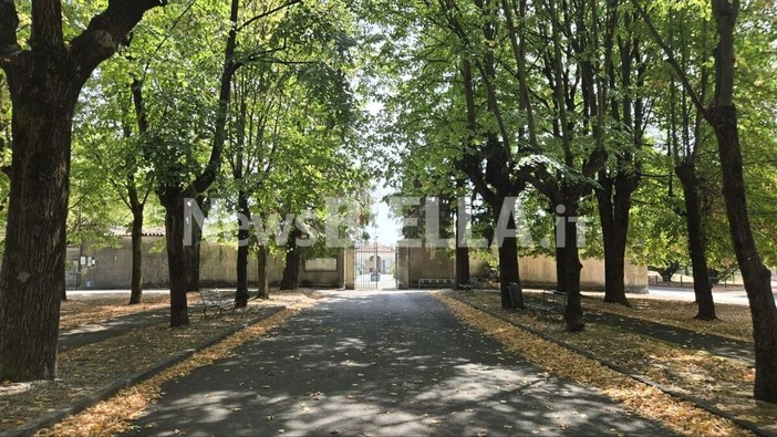 Biella, cimitero islamico a Pavignano: approvato il progetto da 336mila euro Biella, cimitero islamico a Pavignano: approvato il progetto da 336mila euro