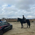 Spaccio nei boschi, i Carabinieri a cavallo presidiano il Biellese Spaccio nei boschi, i Carabinieri a cavallo presidiano il Biellese