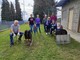 Valle San Nicolao, torna la tradizionale castagnata del Gruppo di Volontariato Valle San Nicolao, torna la tradizionale castagnata del Gruppo di Volontariato