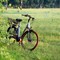 A Cossato è partito il conto alla rovescia per la Biciclettata ecologica 2026 (foto di repertorio)