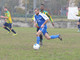 Foto di repertorio Foto di repertorio