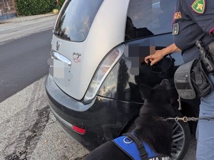 biella polizia biella polizia