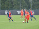 calcio biellese