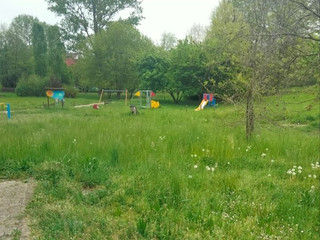 Buona volontà e senso civico: cittadini si prendono cura del parco di Chiavazza