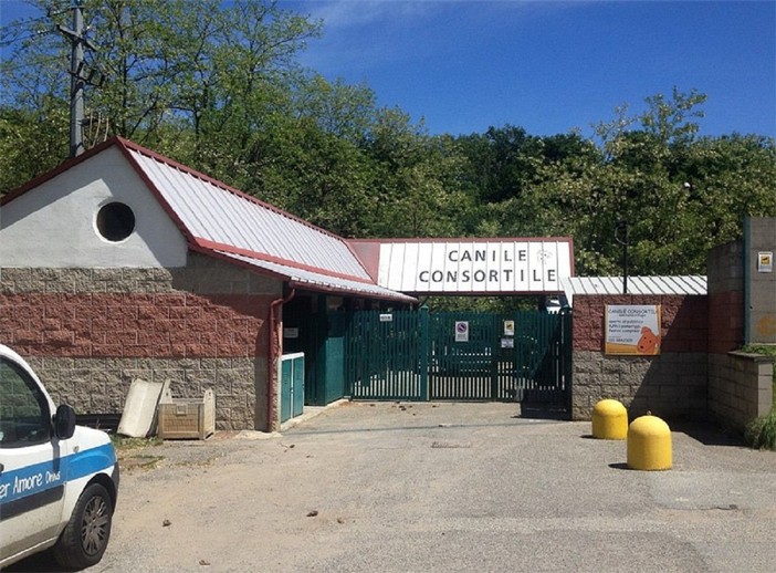 Canile consortile di Cossato: il Comune definisce il progetto dei lavori