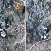 Dal Nord Ovest - Cane bloccato in un canalone sull’Alpe Morissolo, salvato