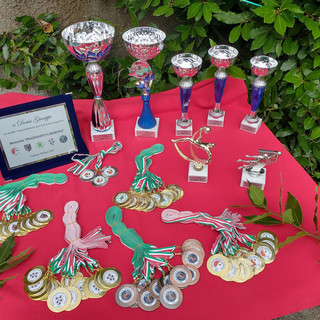 Nell’immagine, coppe, medaglie e trofei del secondo Torneo Carmona-Frassanito