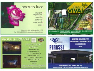 Festa di Sant’Antonio Abate: tradizione, fede e sfilata nel cuore di Vigliano