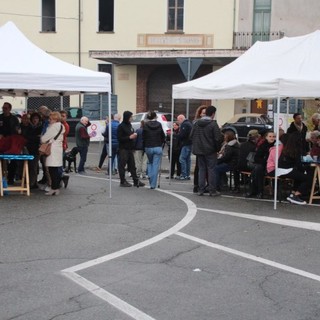 cavaglià castagnata cavaglià castagnata