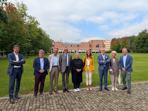 città studi città studi