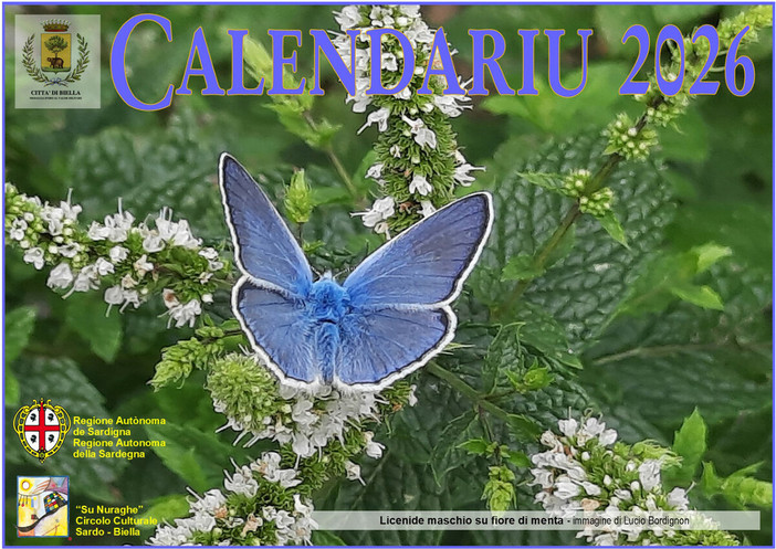 Copertina di “Su Calendariu 2026”