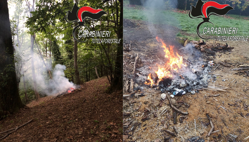 Carabinieri, sanzionati alcuni biellesi: attenzione ai fuochi e agli abbruciamenti in Piemonte FOTO Carabinieri, sanzionati alcuni biellesi: attenzione ai fuochi e agli abbruciamenti in Piemonte FOTO