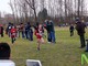 cross valdengo cross valdengo