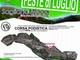 Le corse podistiche dal 18 al 24 luglio