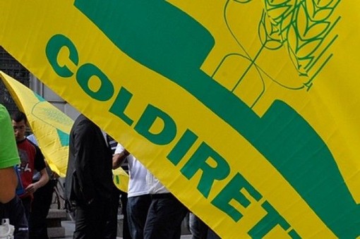 Foto di repertorio