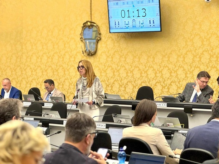 Bullismo e cyberbullismo, il Piemonte non resta a guardare: approvato il nuovo piano triennale Bullismo e cyberbullismo, il Piemonte non resta a guardare: approvato il nuovo piano triennale