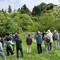 Biella, la Festa del Maj al ponte della Maddalena nel ricordo di Tavo Burat (servizio di Davide Finatti per newsbiella.it)