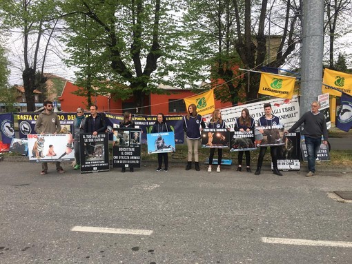 Animalisti e Legambiente contro il circo a Biella: "Animali sfruttati per spettacoli crudeli e anacronistici" FOTO