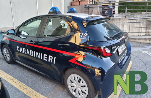 Valdilana, autoarticolato urta un mezzo in sosta (foto di repertorio) Valdilana, autoarticolato urta un mezzo in sosta (foto di repertorio)