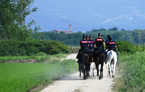 Maxi-servizio straordinario contro lo spaccio nei boschi biellesi, in azione anche i Carabinieri a cavallo FOTO e VIDEO Maxi-servizio straordinario contro lo spaccio nei boschi biellesi, in azione anche i Carabinieri a cavallo FOTO e VIDEO