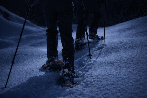 All'Oasi Zegna una ciaspolata sotto le stelle All'Oasi Zegna una ciaspolata sotto le stelle
