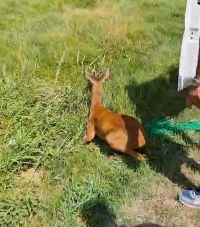 strona allarme strona allarme