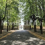 Biella, cimitero islamico a Pavignano: approvato il progetto da 336mila euro Biella, cimitero islamico a Pavignano: approvato il progetto da 336mila euro