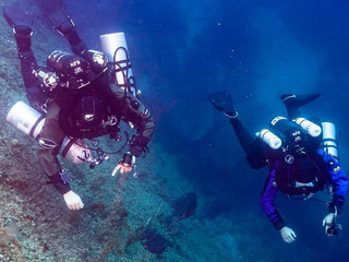 Domenica a Torino la prima gara della squadra agonistica del Circolo Subacquei Biella FOTO Sergio Carmigno